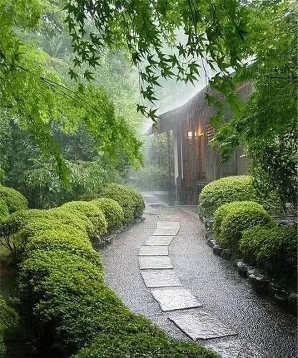 掬一捧清凉，听你说雨天的浪漫