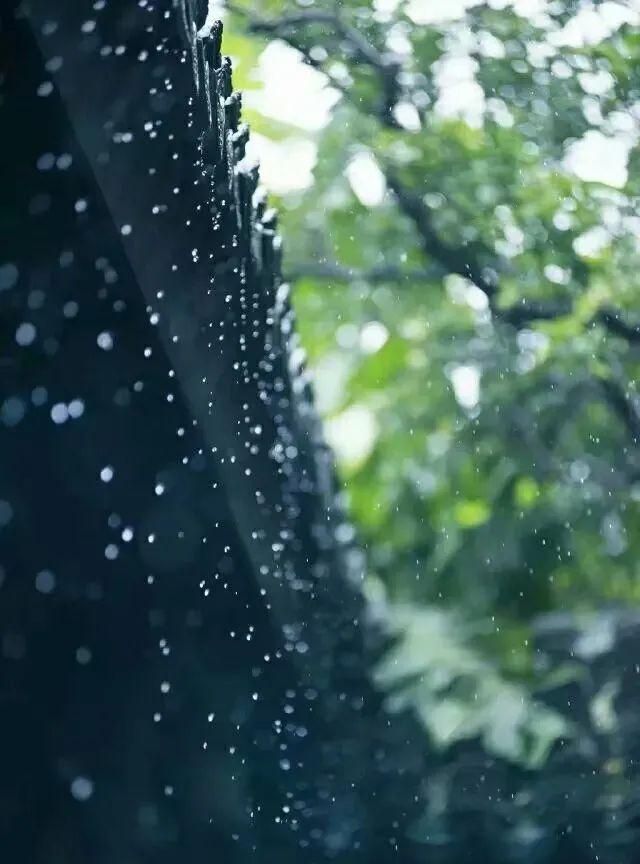 掬一捧清凉，听你说雨天的浪漫