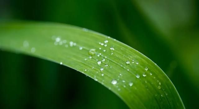 散文：雨落花香，时光清浅，一曲忧伤漫过小河