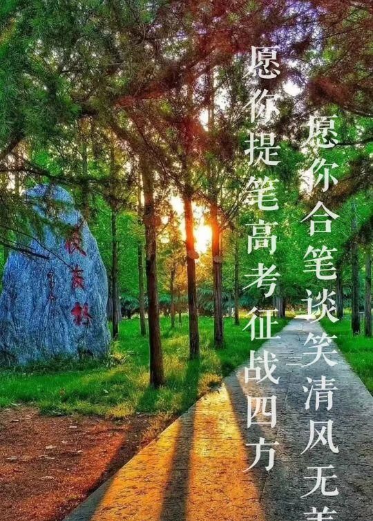 读一遍，信心满满，读两遍，鲤鱼跳龙门