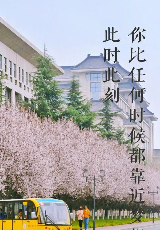 读一遍，信心满满，读两遍，鲤鱼跳龙门