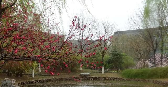 散文：春花谢去，烟雨浓