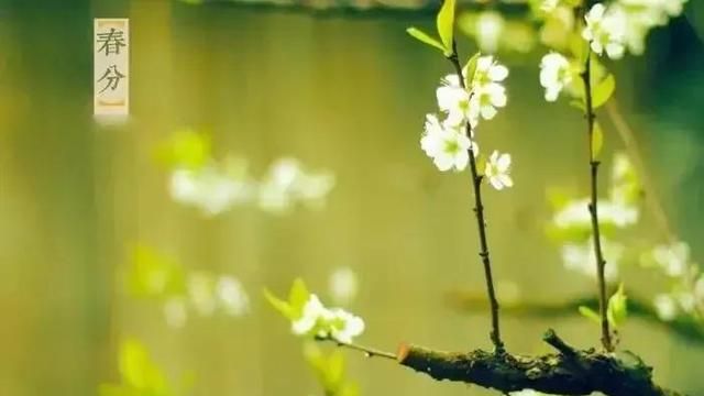 散文：我是云儿，你是霞，春风伴我入你家