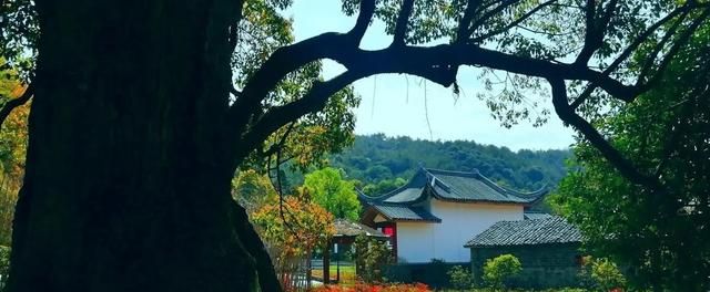 庄子：简单即幸福，无为即作为，贪念即罪