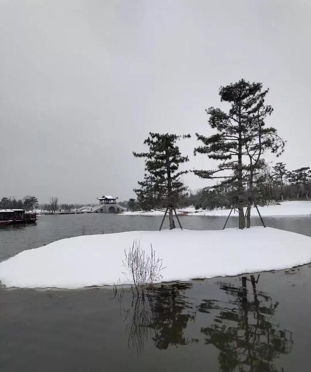 散文：此景只应天上有