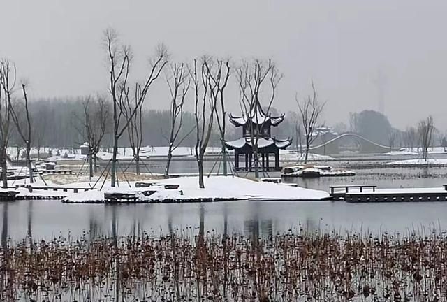 散文：此景只应天上有