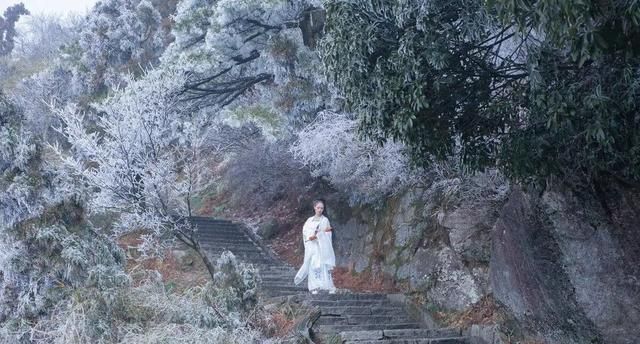 散文：人生最好的境界，就是看淡、看开