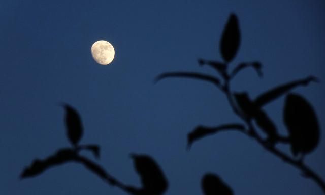 散文：星如斗，月如钩，一枕月色南窗羞