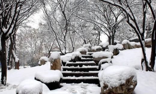 散文：不负岁月，愿作片雪守初心