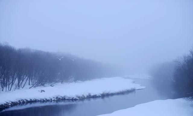 散文：雪居一隅，独享静谧时光